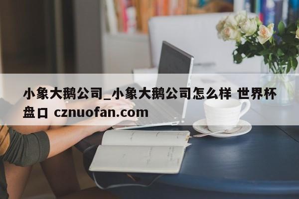 小象大鹅公司_小象大鹅公司怎么样 世界杯盘口 cznuofan.com