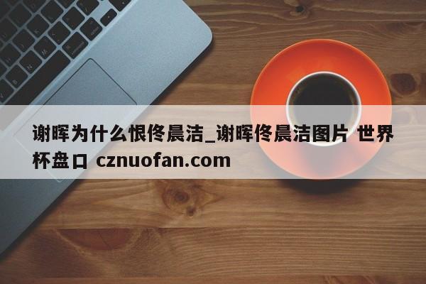 谢晖为什么恨佟晨洁_谢晖佟晨洁图片 世界杯盘口 cznuofan.com